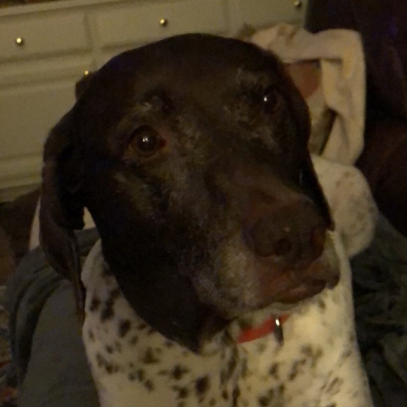 Meet your Posher, Darlene - Picture 1 of 1